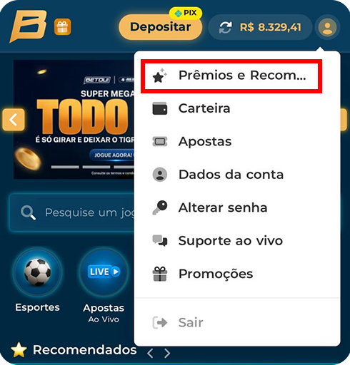 Passo 2 — Área da conta